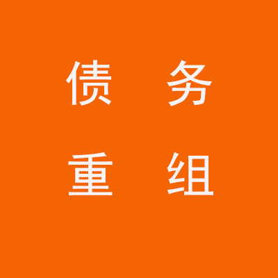 琅琊个人债务重组优化